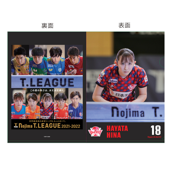 21-22 キービジュアル クリアファイル 日本生命レッドエルフ